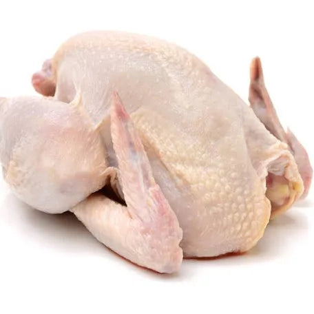 Turkey , fish , hard chicken