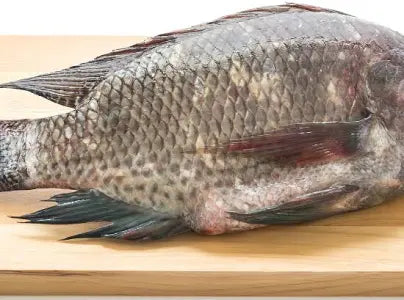 Turkey , fish , hard chicken