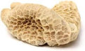 Beef tripe