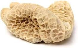 Beef tripe